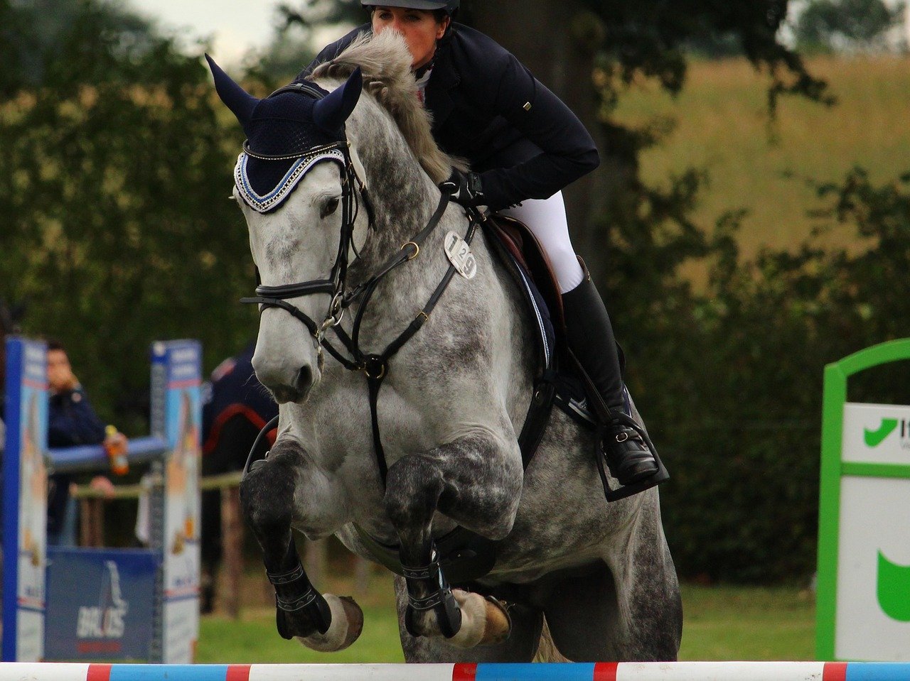 horse, ride, equestrian