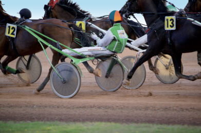 Course de trot