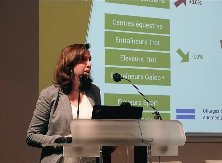 Trajectoire des entreprises de la filière équine normande