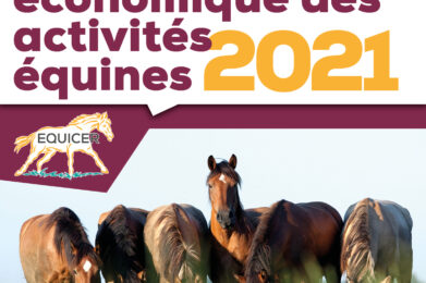 Observatoire économique de la filière équine 2021