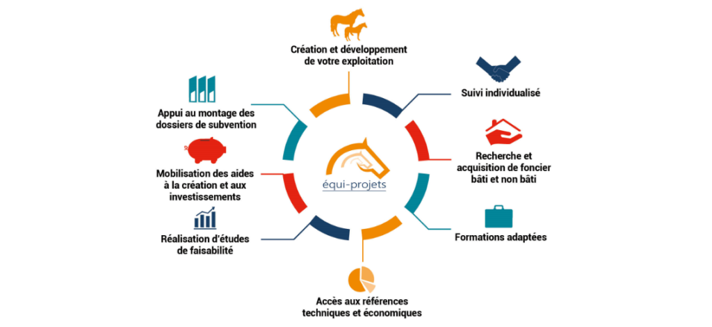 équi-projets : mutualisation des compétences pour la création d'une entreprise dans la filière équine