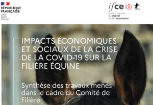 Impacts Covid19 IFCE
