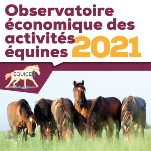 Observatoire économique Equicer