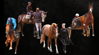 Meilleurs Apprentis de France métiers du cheval