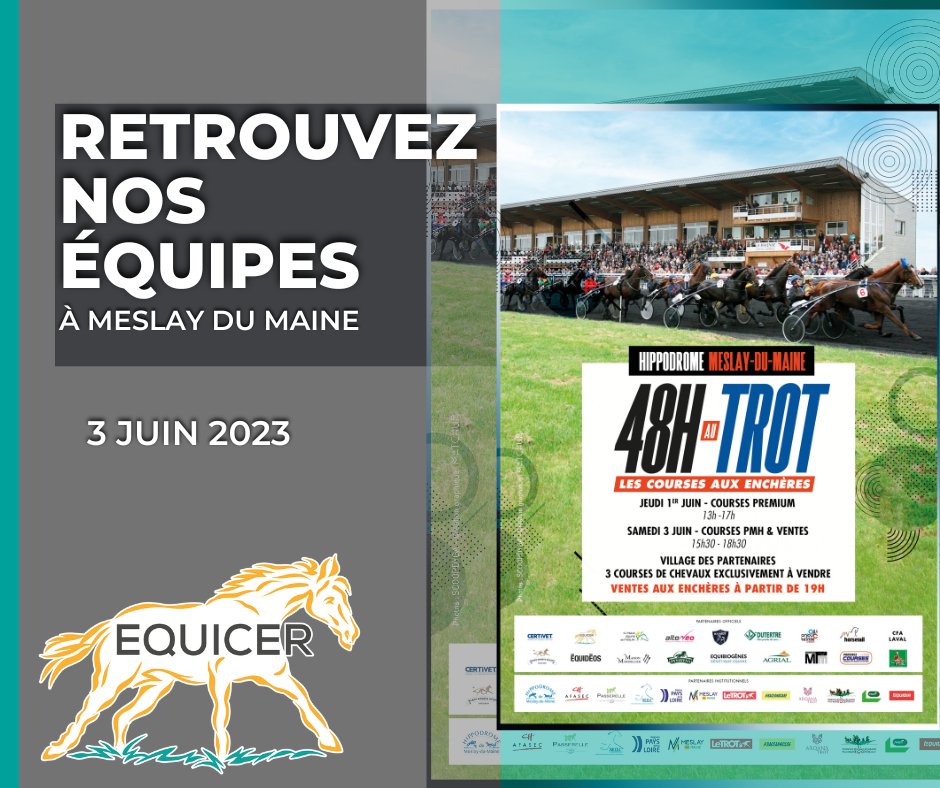 48h au trot 2023 meslay du maine