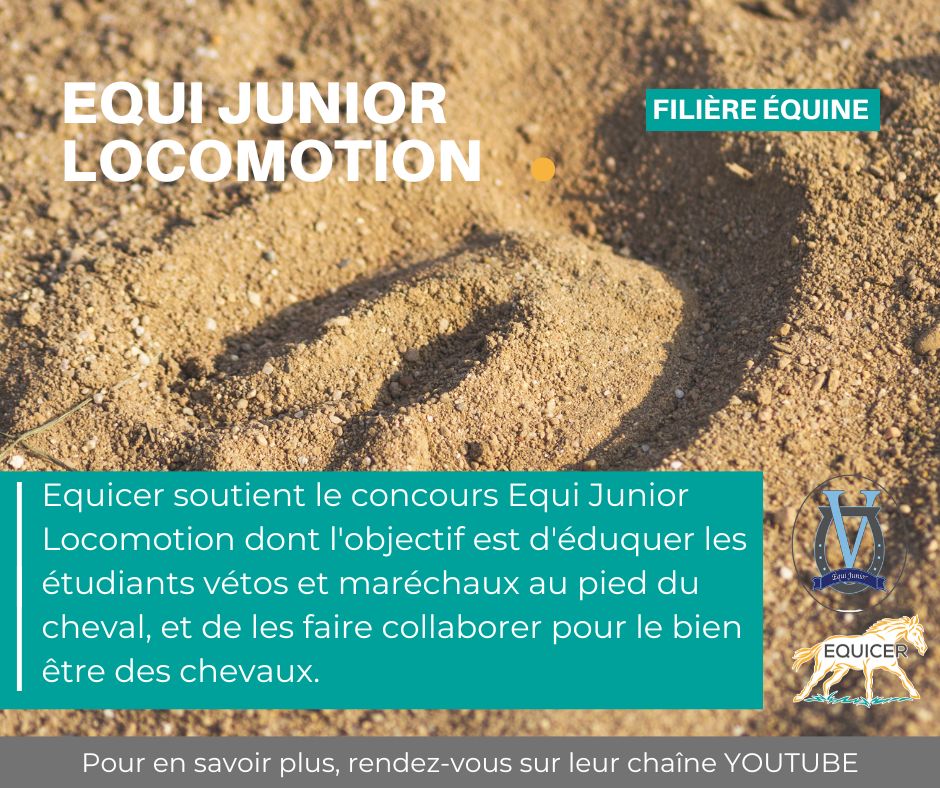 Equicer soutient Equi Junior Locomotion 2023