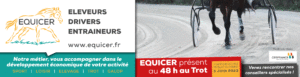 Equicer au 48H au trot