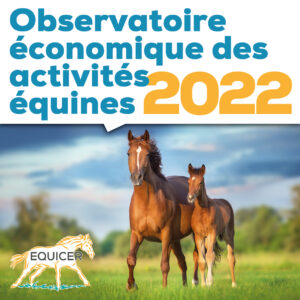 Equistat 2022 observatoire économique Equicer