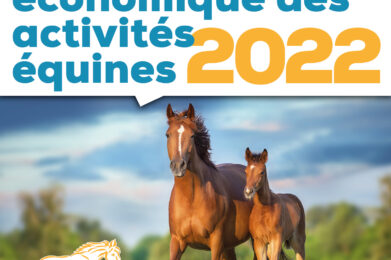 Equistat 2022 observatoire économique Equicer
