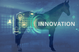 Thèse innovation dans la filière équine