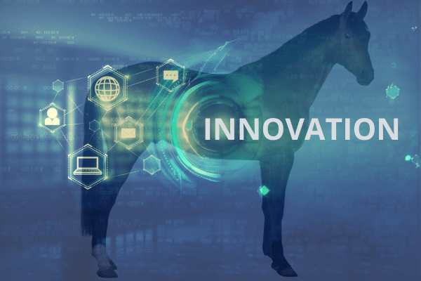 Thèse innovation dans la filière équine