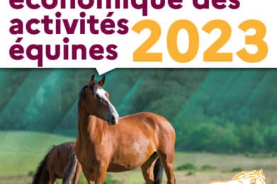 Observatoire économique Equicer 2023