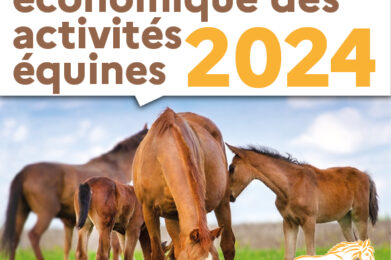 Equistat 2024 observatoire économique Equicer