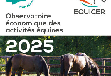 Equistats 2025