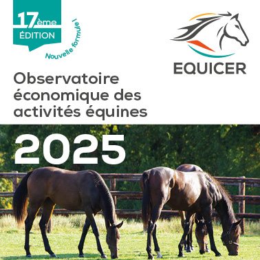 Equistats 2025